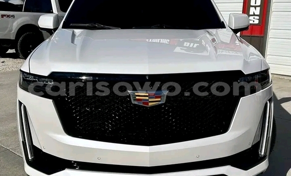 Sayi Imported Cadillac Escalade White Mota in Cotonou a Benin