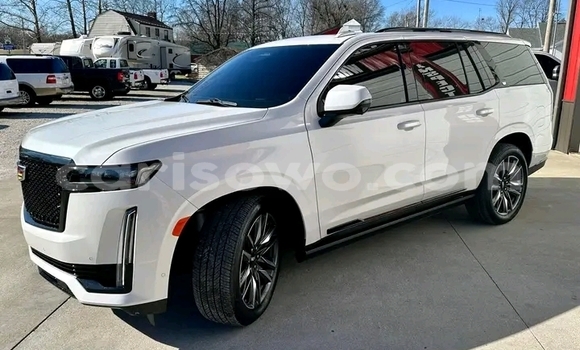 Acheter Import Voiture Cadillac Escalade Blanc à Cotonou, Benin Acheter Import Voiture Cadillac Escalade Blanc à Cotonou, Benin