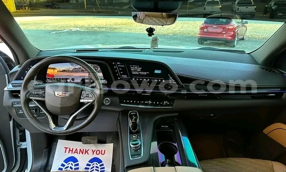 Acheter Import Voiture Cadillac Escalade Blanc à Cotonou, Benin Acheter Import Voiture Cadillac Escalade Blanc à Cotonou, Benin