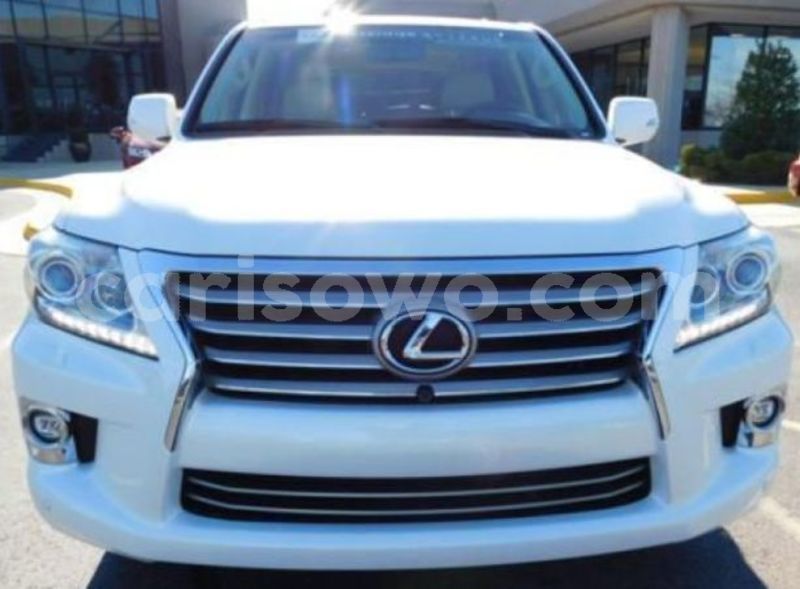 Big with watermark first