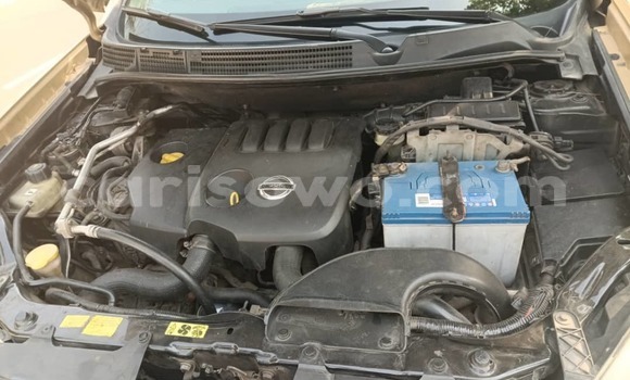 Sayi Na hannu Nissan Qashqai Sauran Mota in Cotonou a Benin Sayi Na hannu Nissan Qashqai Sauran Mota in Cotonou a Benin