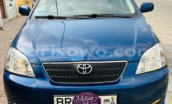 Buy Used Toyota Corolla Blue Car in Abomey Calavi in Benign