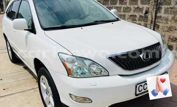 Sayi Na hannu Lexus RX 300 White Mota in Cotonou a Benin Sayi Na hannu Lexus RX 300 White Mota in Cotonou a Benin