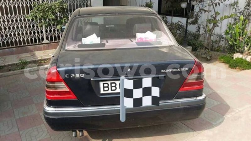 Big with watermark 25075045 1436706473124388 2663118157098388861 o