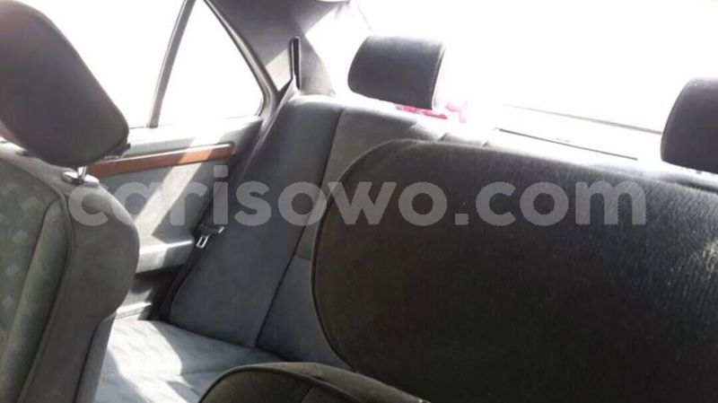 Big with watermark 25152125 1436706493124386 3988117729400250843 n