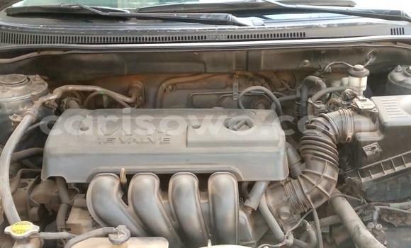 Ra Àlòkù Toyota Corolla Brown Ọkọ̀ in Cotonou ni Benin Ra Àlòkù Toyota Corolla Brown Ọkọ̀ in Cotonou ni Benin