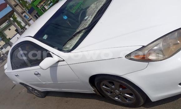 Ra Àlòkù Toyota Camry funfun Ọkọ̀ in Cotonou ni Benin Ra Àlòkù Toyota Camry funfun Ọkọ̀ in Cotonou ni Benin