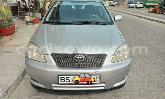 Acheter Occasion Voiture Toyota Corolla Gris à Cotonou, Benin Acheter Occasion Voiture Toyota Corolla Gris à Cotonou, Benin