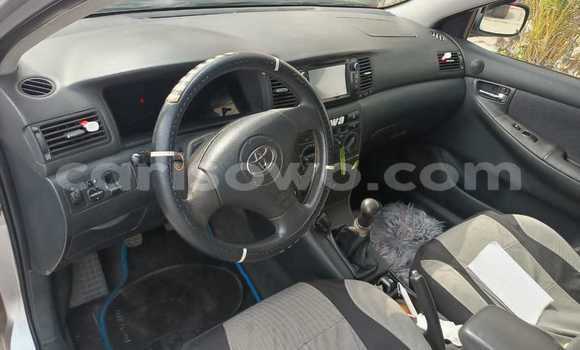 Ra Àlòkù Toyota Corolla Silver Ọkọ̀ in Cotonou ni Benin Ra Àlòkù Toyota Corolla Silver Ọkọ̀ in Cotonou ni Benin