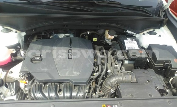 Ra Àlòkù Kia Sorento funfun Ọkọ̀ in Cotonou ni Benin Ra Àlòkù Kia Sorento funfun Ọkọ̀ in Cotonou ni Benin