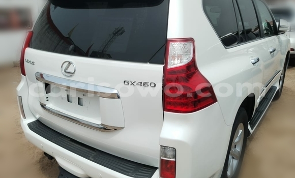 Ra Imported Lexus GX funfun Ọkọ̀ in Cotonou ni Benin Ra Imported Lexus GX funfun Ọkọ̀ in Cotonou ni Benin