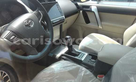 Acheter Neuf Voiture Toyota Prado Blanc à Cotonou, Benin Acheter Neuf Voiture Toyota Prado Blanc à Cotonou, Benin