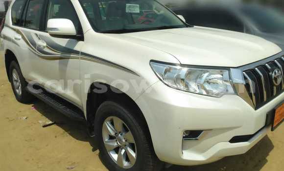 Acheter Neuf Voiture Toyota Prado Blanc à Cotonou, Benin Acheter Neuf Voiture Toyota Prado Blanc à Cotonou, Benin
