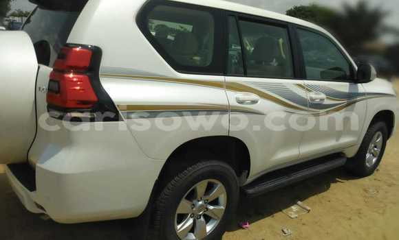 Acheter Neuf Voiture Toyota Prado Blanc à Cotonou, Benin Acheter Neuf Voiture Toyota Prado Blanc à Cotonou, Benin