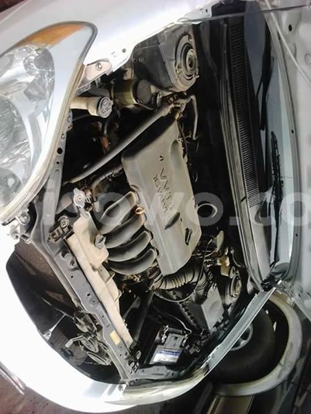 Big with watermark 25152125 1436706493124386 3988117729400250843 n