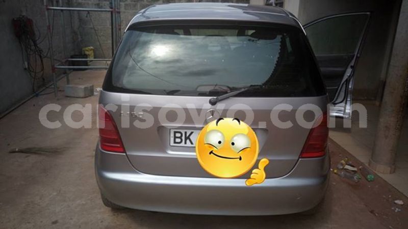 Big with watermark 25075045 1436706473124388 2663118157098388861 o