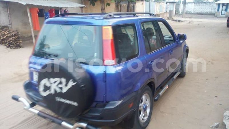 Big with watermark 24959109 1372679829509431 2290911251372580814 o