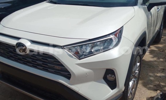 Buy New Toyota RAV4 White Car in Cotonou in Benign