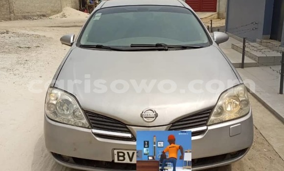 Buy Used Nissan Primera Silver Car in Abomey Calavi in Benign Buy Used Nissan Primera Silver Car in Abomey Calavi in Benign