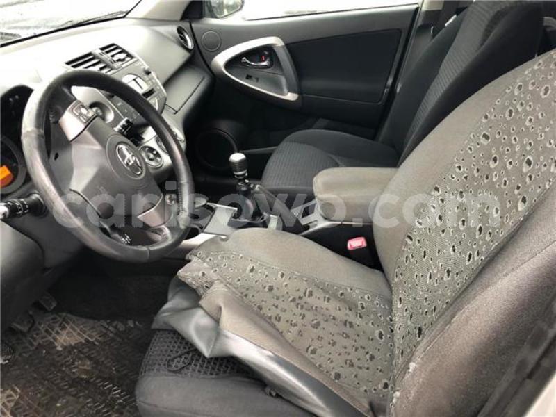 Big with watermark 0339244331006