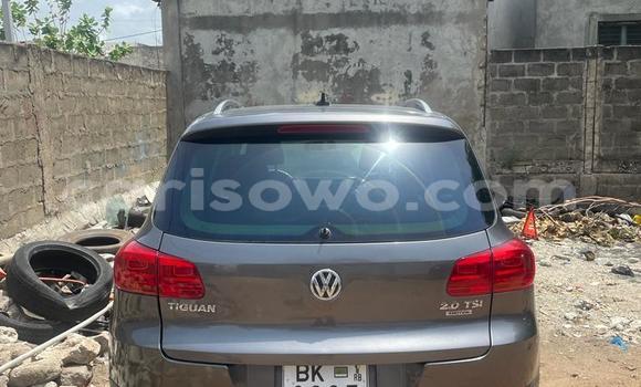 Acheter Occasion Voiture Volkswagen Tiguan Marron à Cotonou, Benin