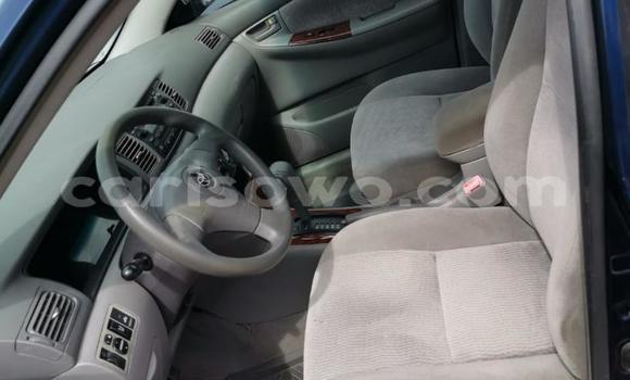 Ra Àlòkù Toyota Corolla Blue Ọkọ̀ in Cotonou ni Benin Ra Àlòkù Toyota Corolla Blue Ọkọ̀ in Cotonou ni Benin