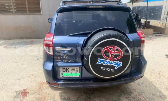 Acheter Occasion Voiture Toyota RAV4 Bleu à Cotonou, Benin