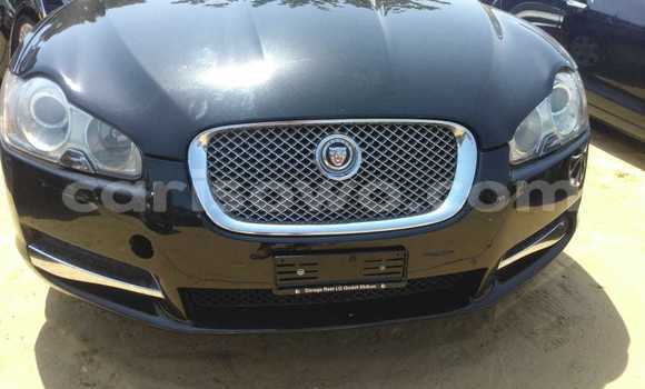 Sayi Imported Jaguar XF Black Mota in Cotonou a Benin