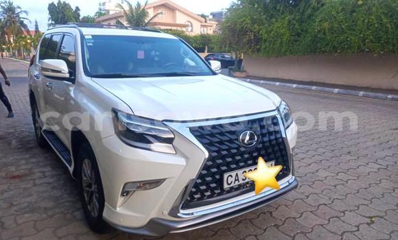Acheter Occasion Voiture Lexus GX Blanc à Cotonou, Benin