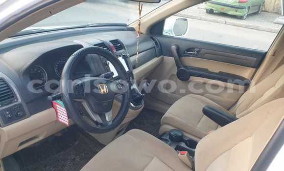 Ra Àlòkù Honda CR–V funfun Ọkọ̀ in Cotonou ni Benin Ra Àlòkù Honda CR–V funfun Ọkọ̀ in Cotonou ni Benin