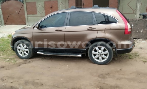 Sayi Na hannu Honda CR–V Brown Mota in Cotonou a Benin Sayi Na hannu Honda CR–V Brown Mota in Cotonou a Benin
