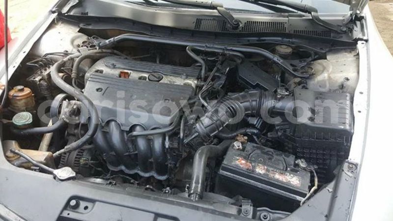 Big with watermark 25152125 1436706493124386 3988117729400250843 n