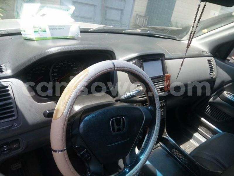 Big with watermark 25075045 1436706473124388 2663118157098388861 o