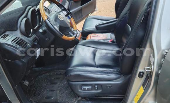 Acheter Occasion Voiture Lexus RX 330 Gris à Cotonou, Benin Acheter Occasion Voiture Lexus RX 330 Gris à Cotonou, Benin