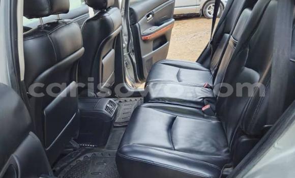 Acheter Occasion Voiture Lexus RX 330 Gris à Cotonou, Benin Acheter Occasion Voiture Lexus RX 330 Gris à Cotonou, Benin
