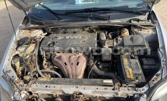 Acheter Occasion Voiture Toyota Scion TC Blanc à Cotonou, Benin Acheter Occasion Voiture Toyota Scion TC Blanc à Cotonou, Benin