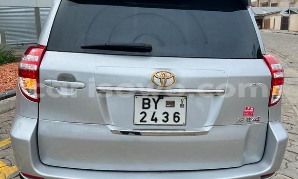 Acheter Occasion Voiture Toyota RAV4 Gris à Cotonou, Benin Acheter Occasion Voiture Toyota RAV4 Gris à Cotonou, Benin