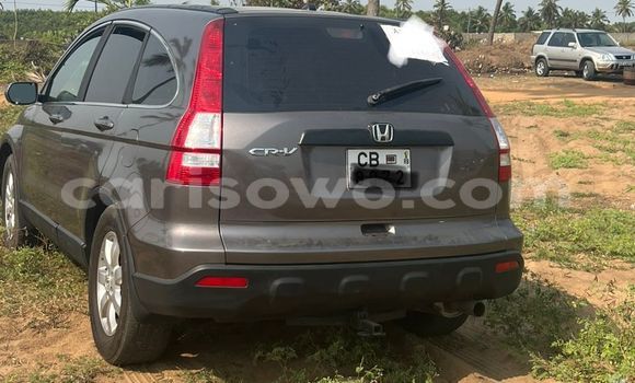 Acheter Import Voiture Honda CR–V Marron à Cotonou, Benin Acheter Import Voiture Honda CR–V Marron à Cotonou, Benin