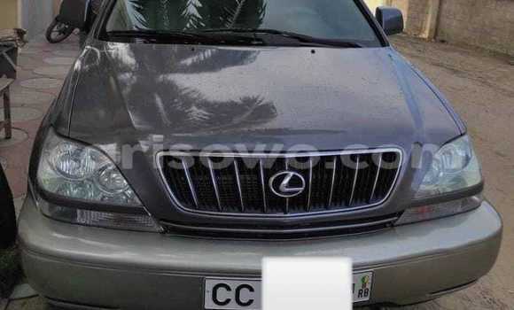 Buy Used Lexus RX 300 Brown Car in Cotonou in Benign