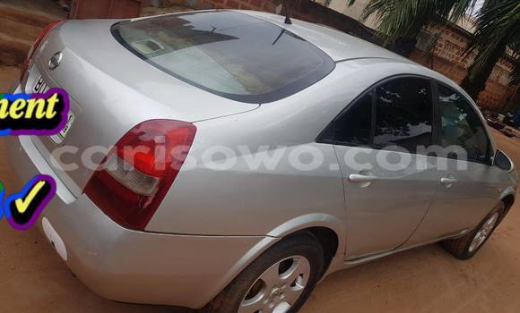 Acheter Occasion Voiture Nissan Primera Autre à Cotonou, Benin