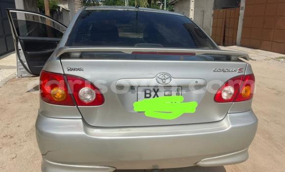 Acheter Occasion Voiture Toyota Corolla Gris à Cotonou, Benin