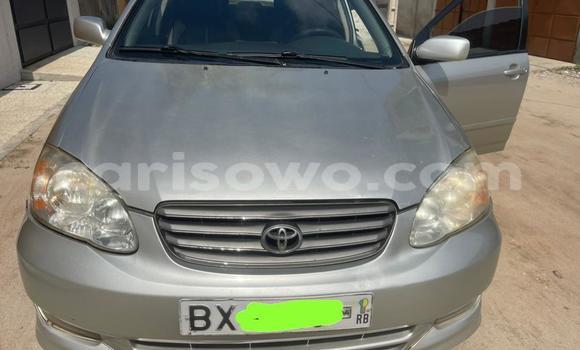 Ra Àlòkù Toyota Corolla Silver Ọkọ̀ in Cotonou ni Benin Ra Àlòkù Toyota Corolla Silver Ọkọ̀ in Cotonou ni Benin
