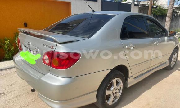 Ra Àlòkù Toyota Corolla Silver Ọkọ̀ in Cotonou ni Benin Ra Àlòkù Toyota Corolla Silver Ọkọ̀ in Cotonou ni Benin