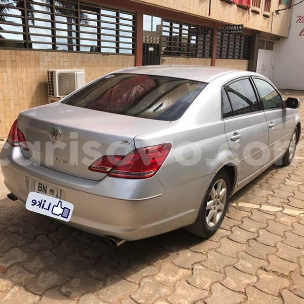 Big with watermark 30623955 578122035882356 6857030771144654848 n