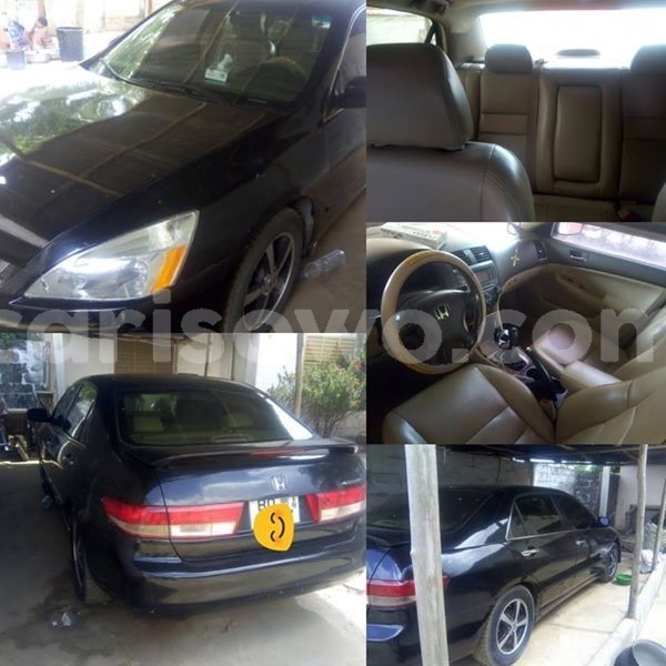 Big with watermark 30623955 578122035882356 6857030771144654848 n