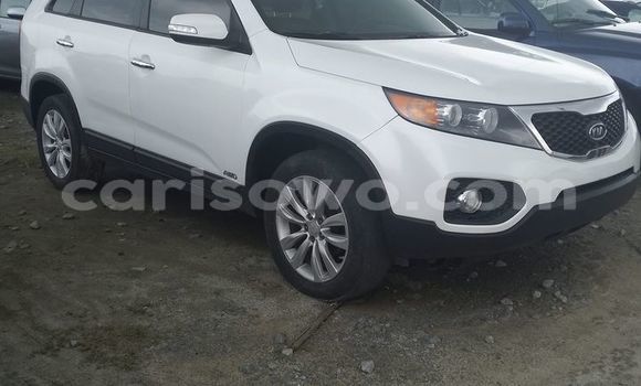 Buy Used Kia Sportage White Car in Cotonou in Benign Buy Used Kia Sportage White Car in Cotonou in Benign