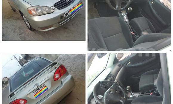 Buy Used Toyota Corolla Beige Car in Cotonou in Benign Buy Used Toyota Corolla Beige Car in Cotonou in Benign