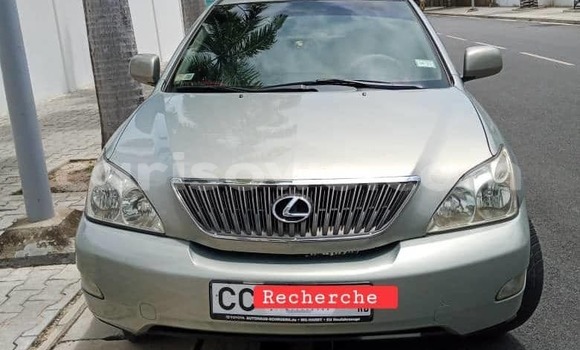 Acheter Occasion Voiture Lexus RX 330 Gris à Cotonou, Benin