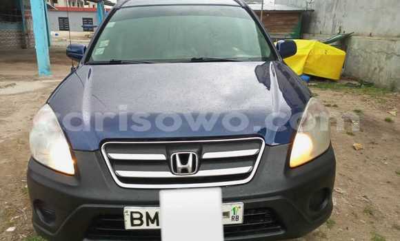 Buy Used Honda CR–V Blue Car in Cotonou in Benign