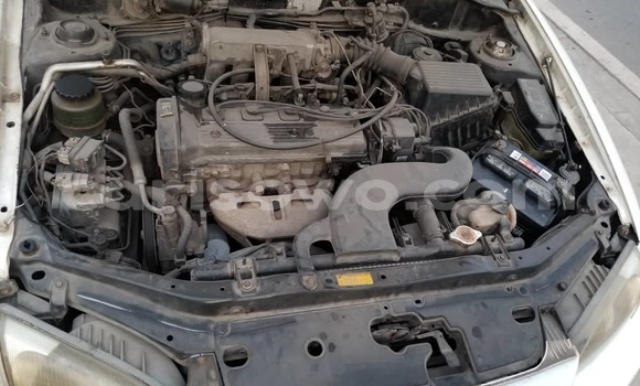 Ra Àlòkù Toyota Tercel funfun Ọkọ̀ in Cotonou ni Benin Ra Àlòkù Toyota Tercel funfun Ọkọ̀ in Cotonou ni Benin